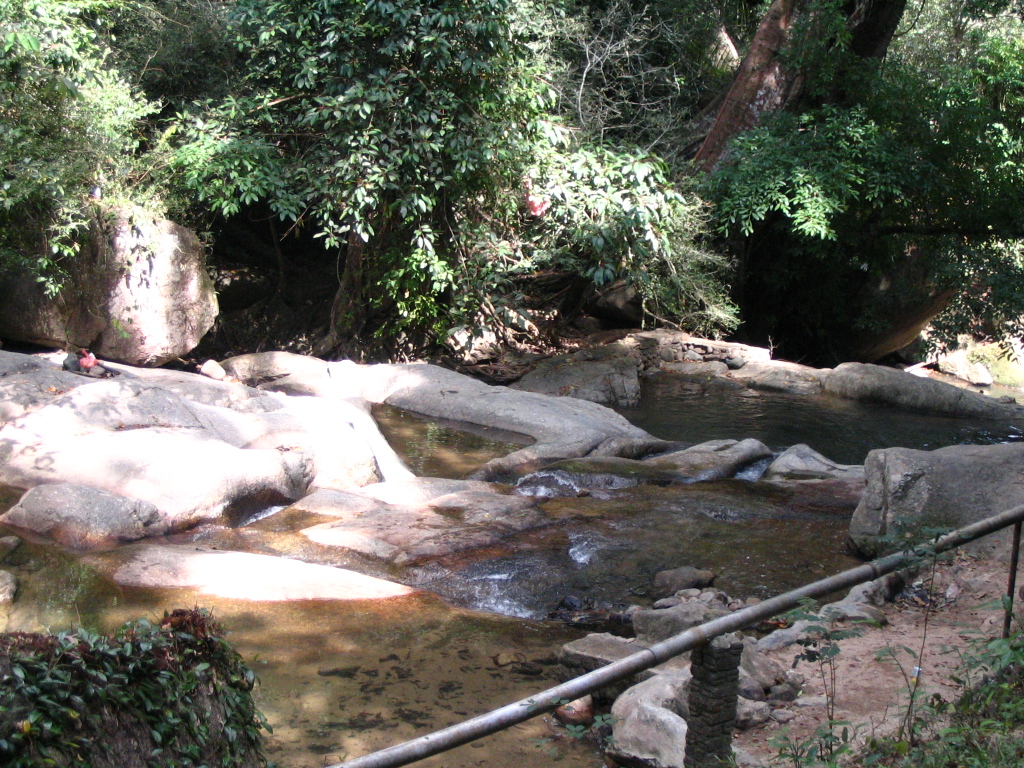 Hutan Lipur Puncak Janing