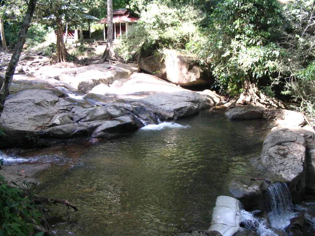 Hutan Lipur Puncak Janing