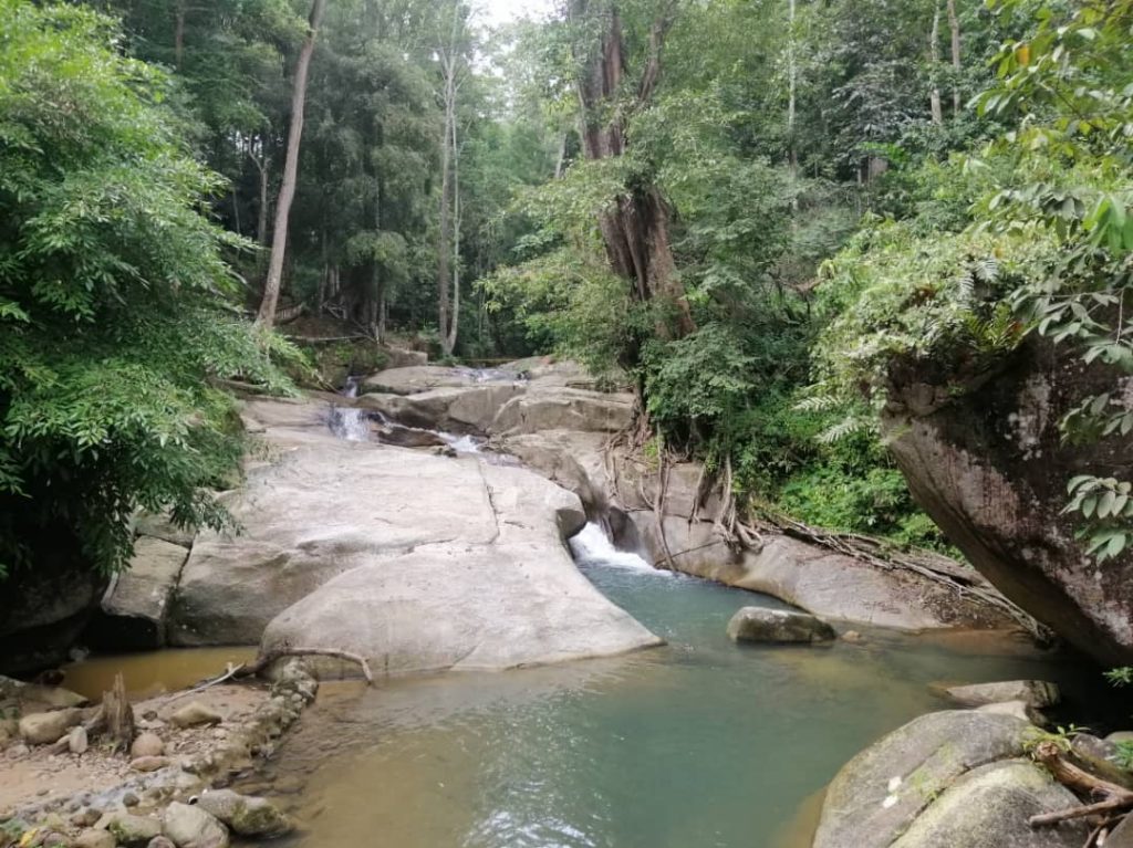 Hutan Lipur Puncak Janing