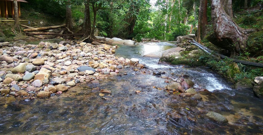 Hutan Lipur Puncak Janing