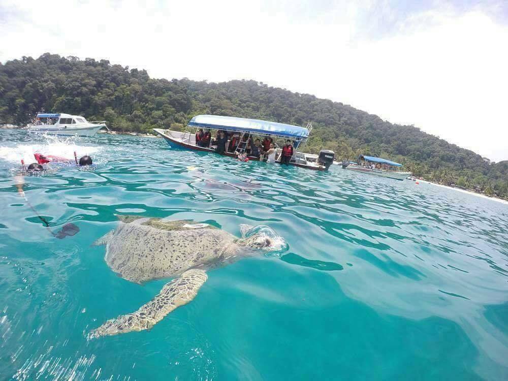 snokerling perhentian island