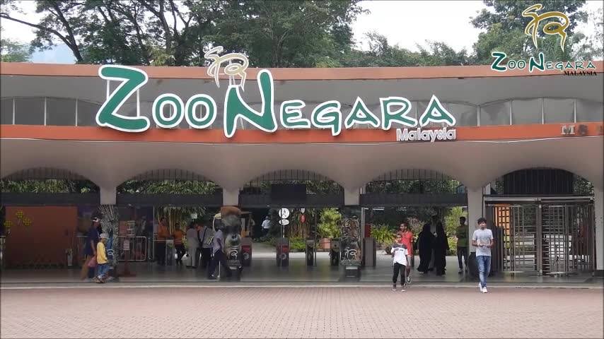 tempat menarik di kuala lumpur Zoo Negara