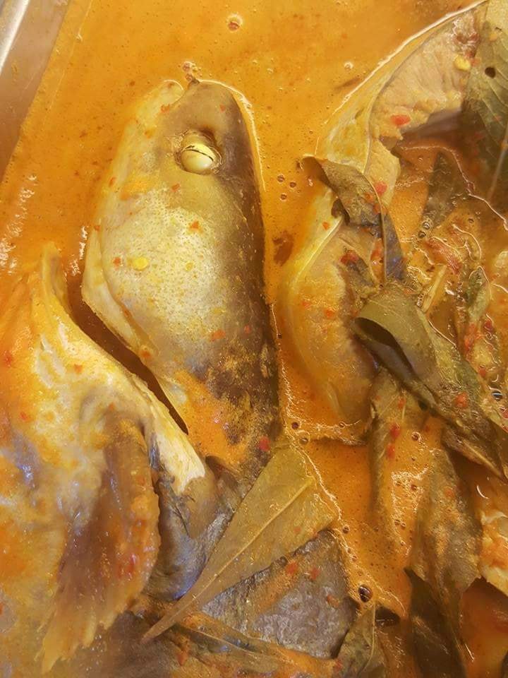 Restoran patin tempoyak Tok Gajah Temerloh