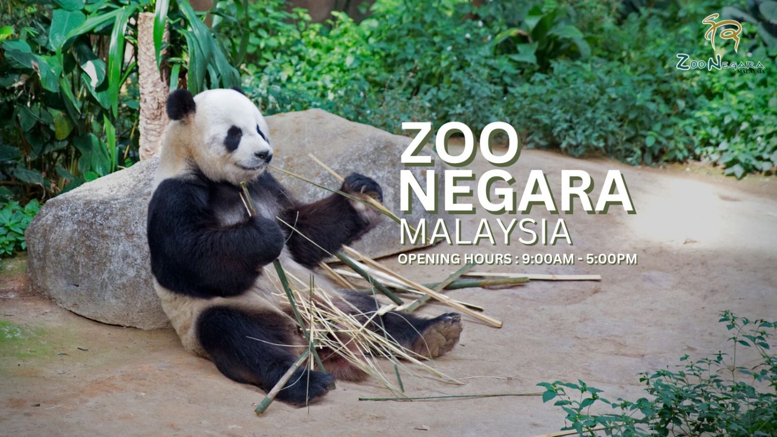 Zoo Negara Ticket Prices 2024: Complete Visitor's Guide