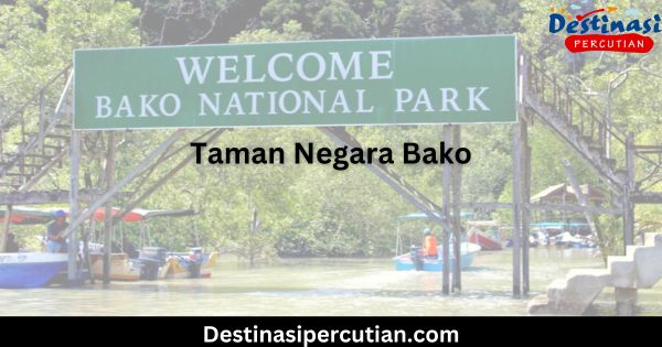 Taman Negara Bako: Permata Tersembunyi Kuching yang Wajib Dilawati